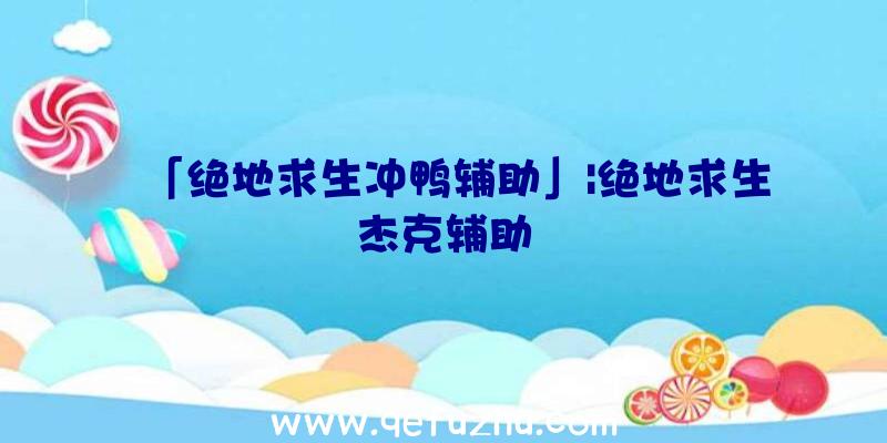 「绝地求生冲鸭辅助」|绝地求生杰克辅助